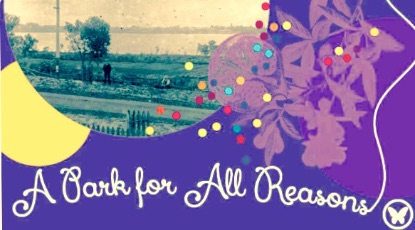 A Park for All Reasons Exhibition 2016